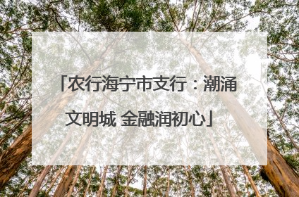 农行海宁市支行：潮涌文明城 金融润初心